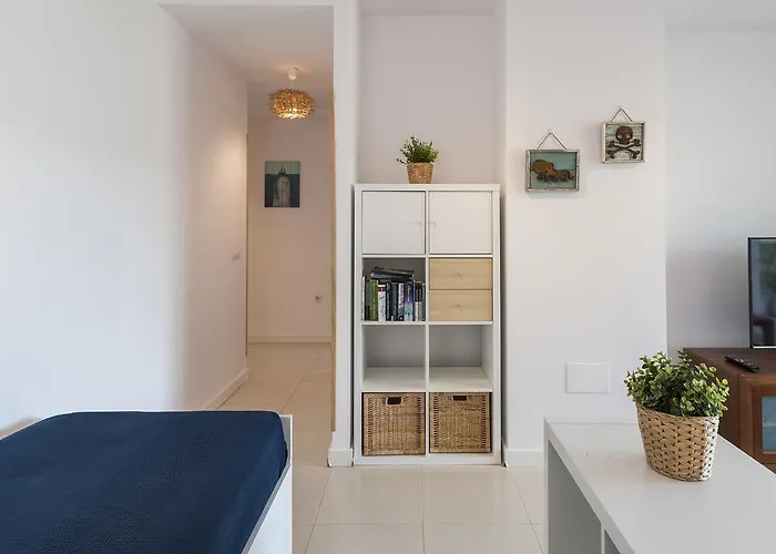 Apartment Blue Fin