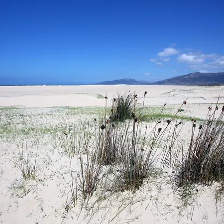 Blue Fin Apartment *