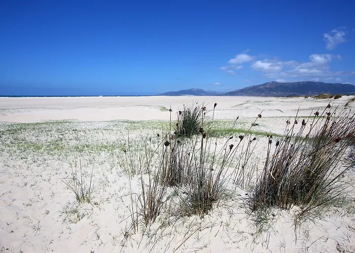 Blue Fin Lägenhet *